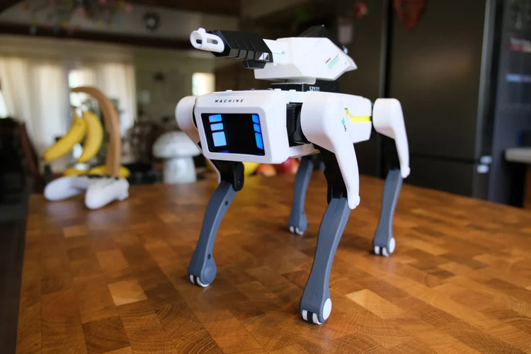 RoboPaws™ Intelligent Robot Dog