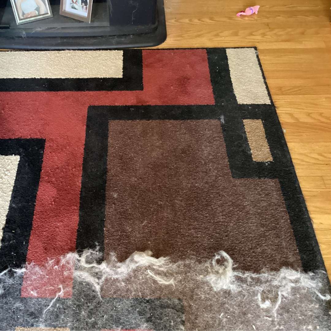 FurClean™ Ultra Hair Cleaning Kit